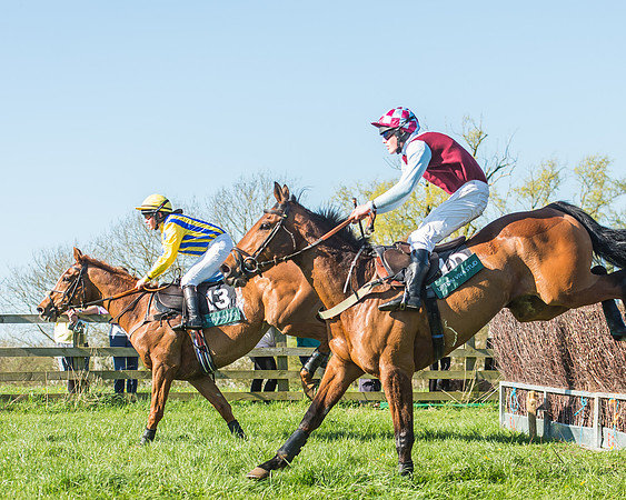 Race 5 - The Restricted Race-40