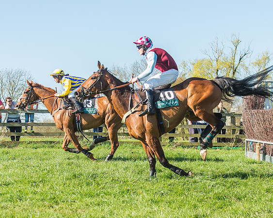 Race 5 - The Restricted Race-41
