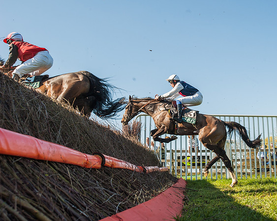 Race 5 - The Restricted Race-46