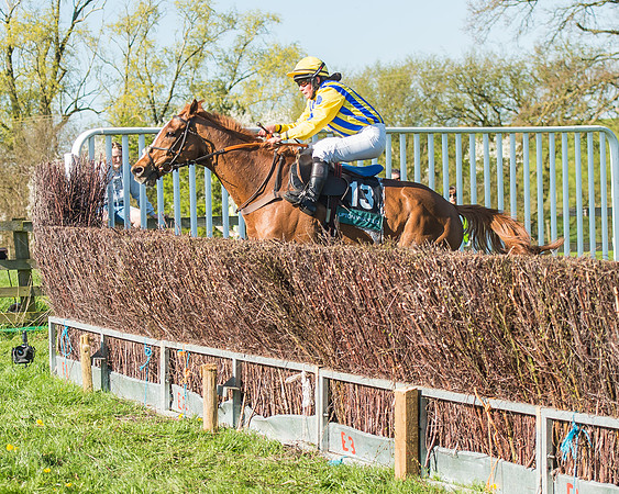 Race 5 - The Restricted Race-48