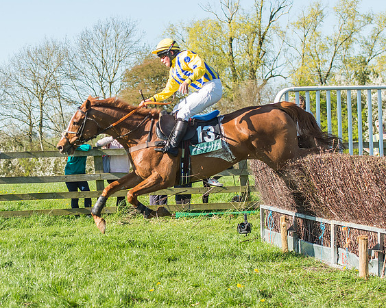 Race 5 - The Restricted Race-51