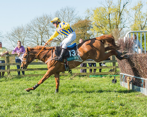 Race 5 - The Restricted Race-52