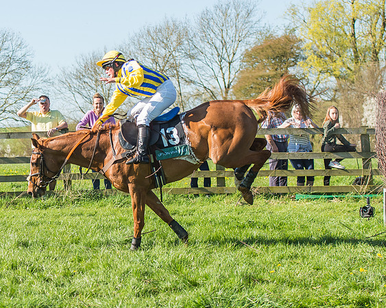 Race 5 - The Restricted Race-53