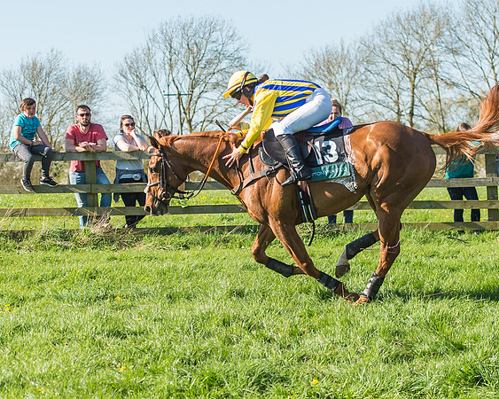 Race 5 - The Restricted Race-54