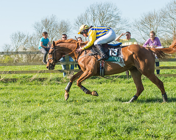 Race 5 - The Restricted Race-55