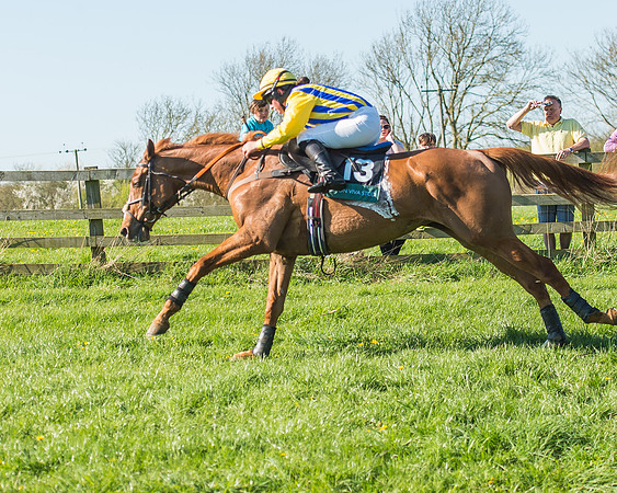 Race 5 - The Restricted Race-56