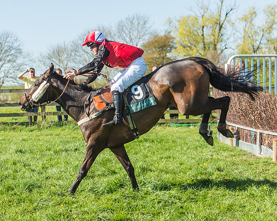 Race 5 - The Restricted Race-63