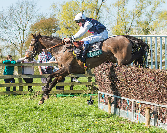 Race 5 - The Restricted Race-66