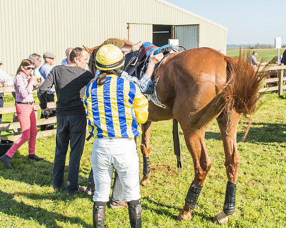 Race 5 - The Restricted Race-77