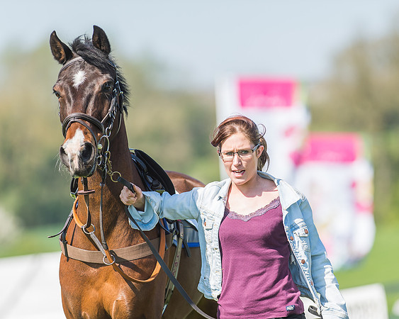 Pony Races-1