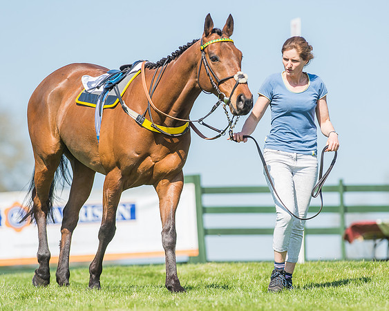 Pony Races-4