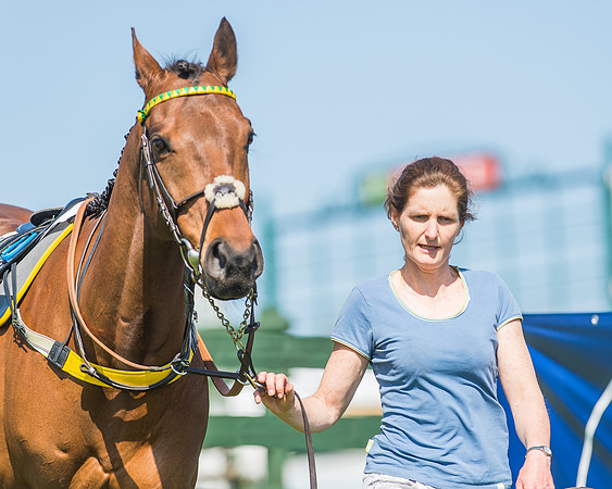 Pony Races-5