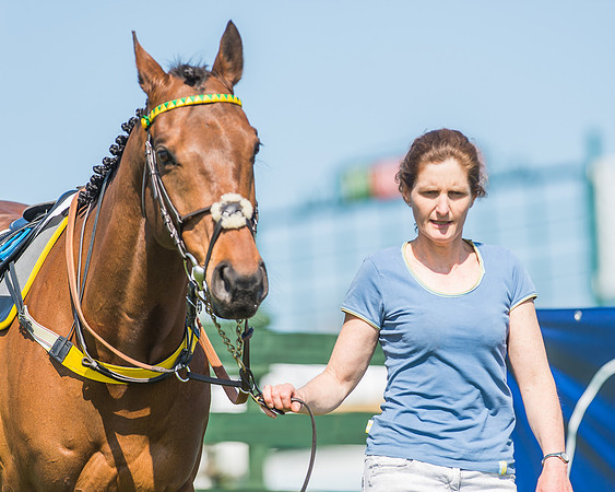 Pony Races-6