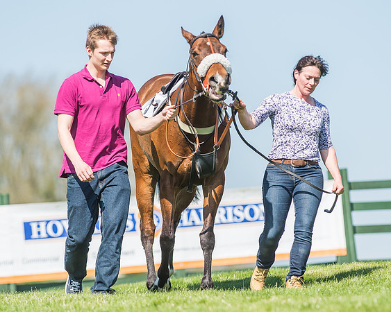 Pony Races-8