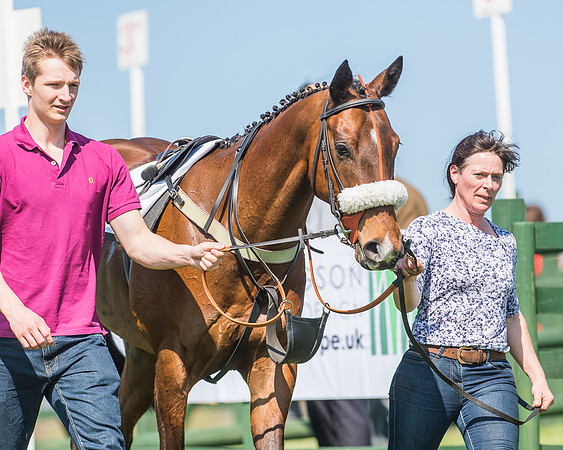 Pony Races-10