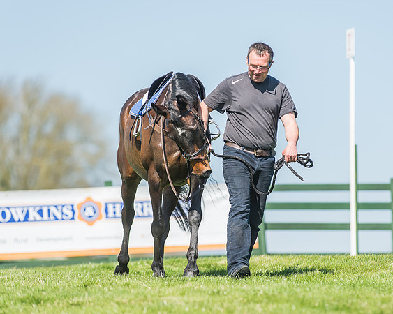 Pony Races-11