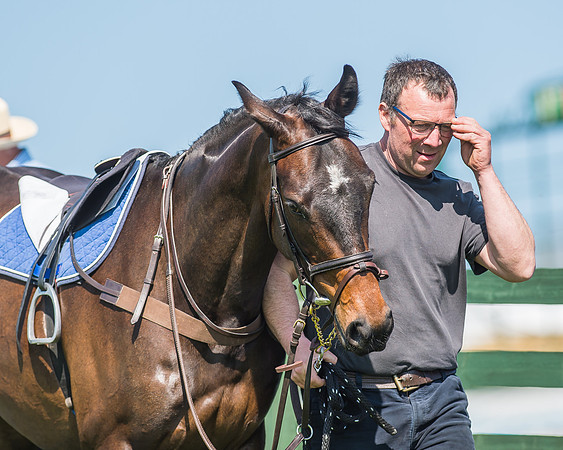 Pony Races-13