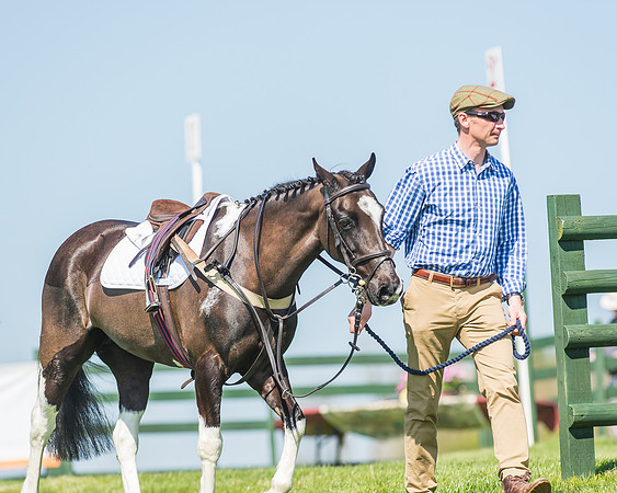 Pony Races-15
