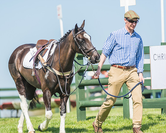 Pony Races-16