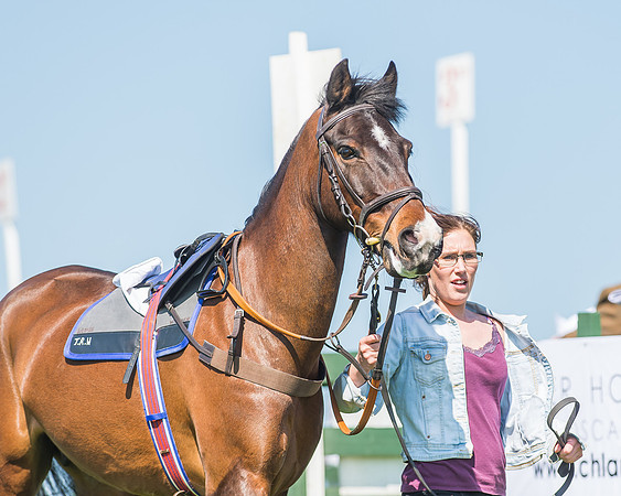 Pony Races-19