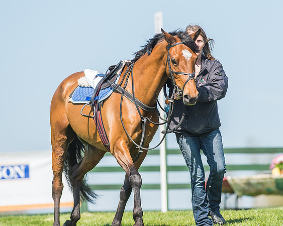 Pony Races-20