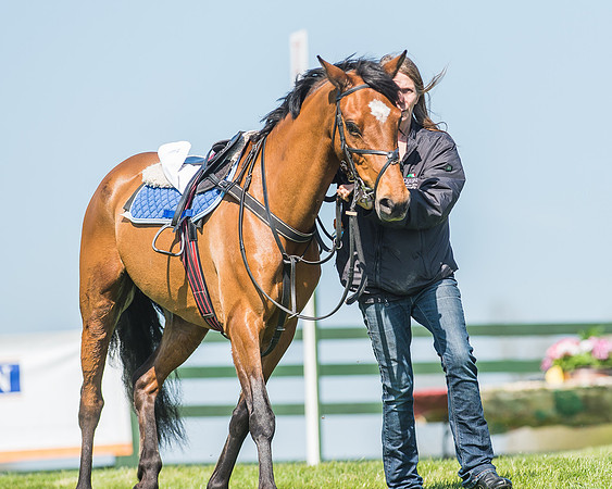 Pony Races-21