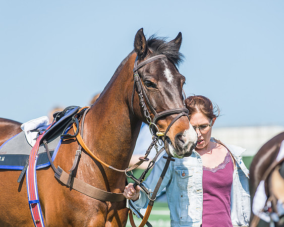 Pony Races-22