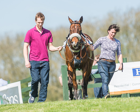 Pony Races-29