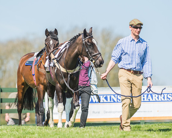 Pony Races-32
