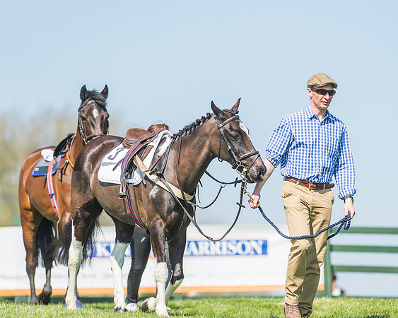 Pony Races-33