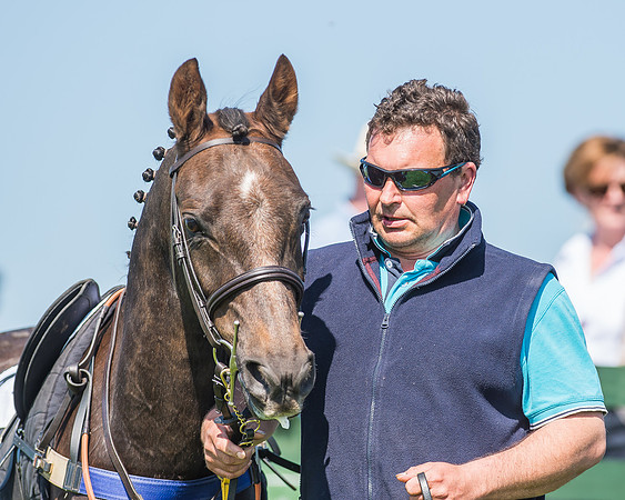 Pony Races-36