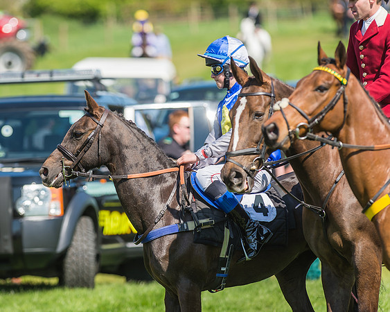 Pony Races-39