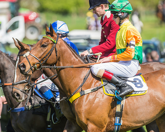 Pony Races-40