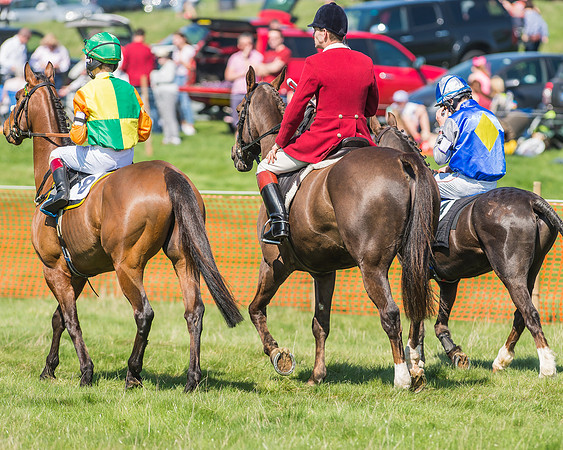 Pony Races-45