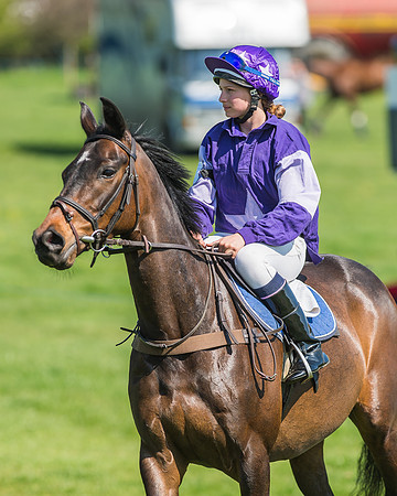 Pony Races-47