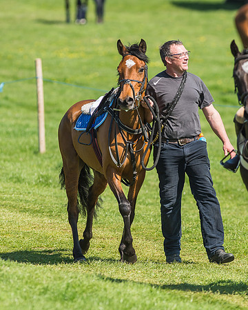Pony Races-51