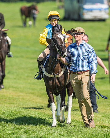 Pony Races-52