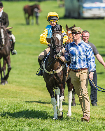 Pony Races-53