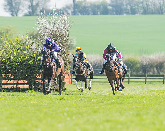 Pony Races-64