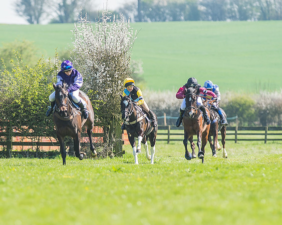 Pony Races-66