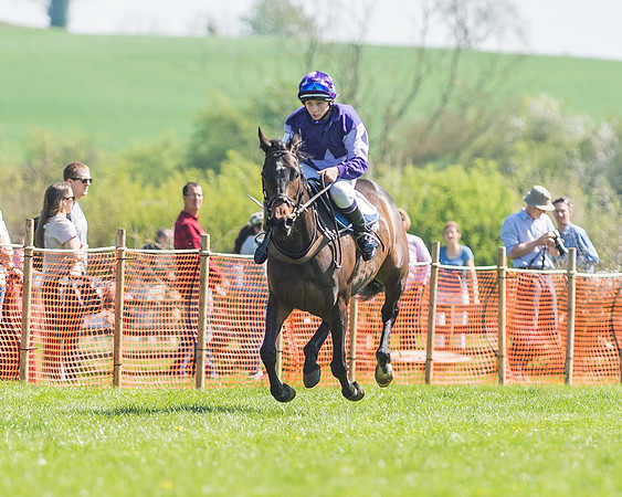 Pony Races-70-2