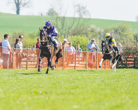 Pony Races-71