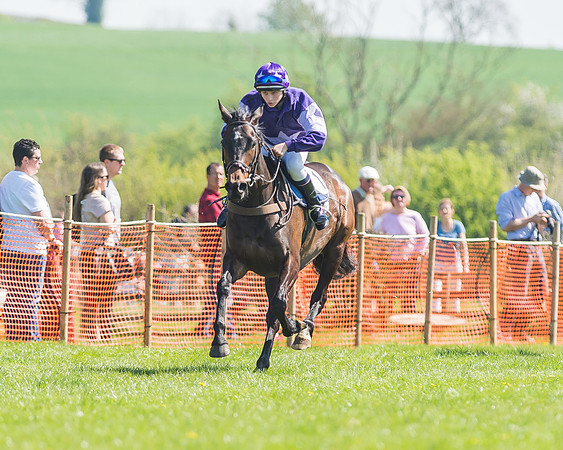 Pony Races-71-2