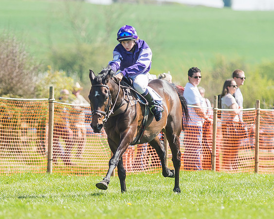 Pony Races-73