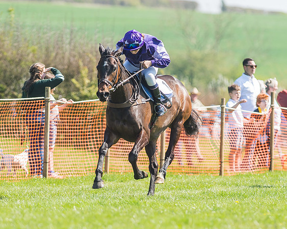Pony Races-76-2
