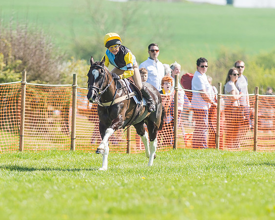 Pony Races-77