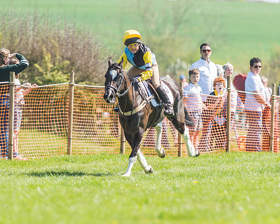 Pony Races-78