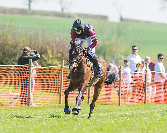 Pony Races-84