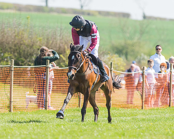 Pony Races-85