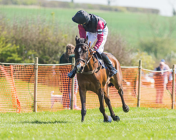 Pony Races-86